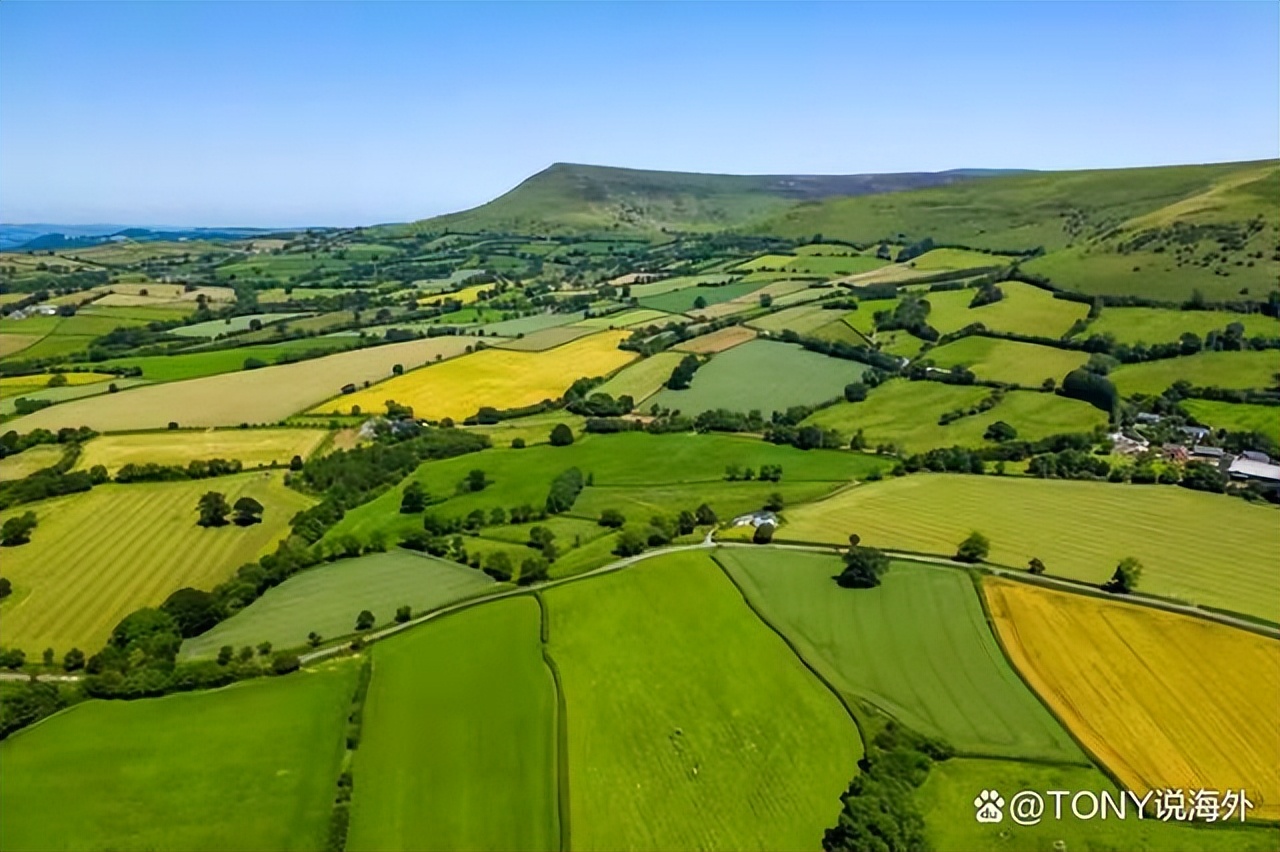 买美国农产品可以减持美债吗 (清空美债是什么)
