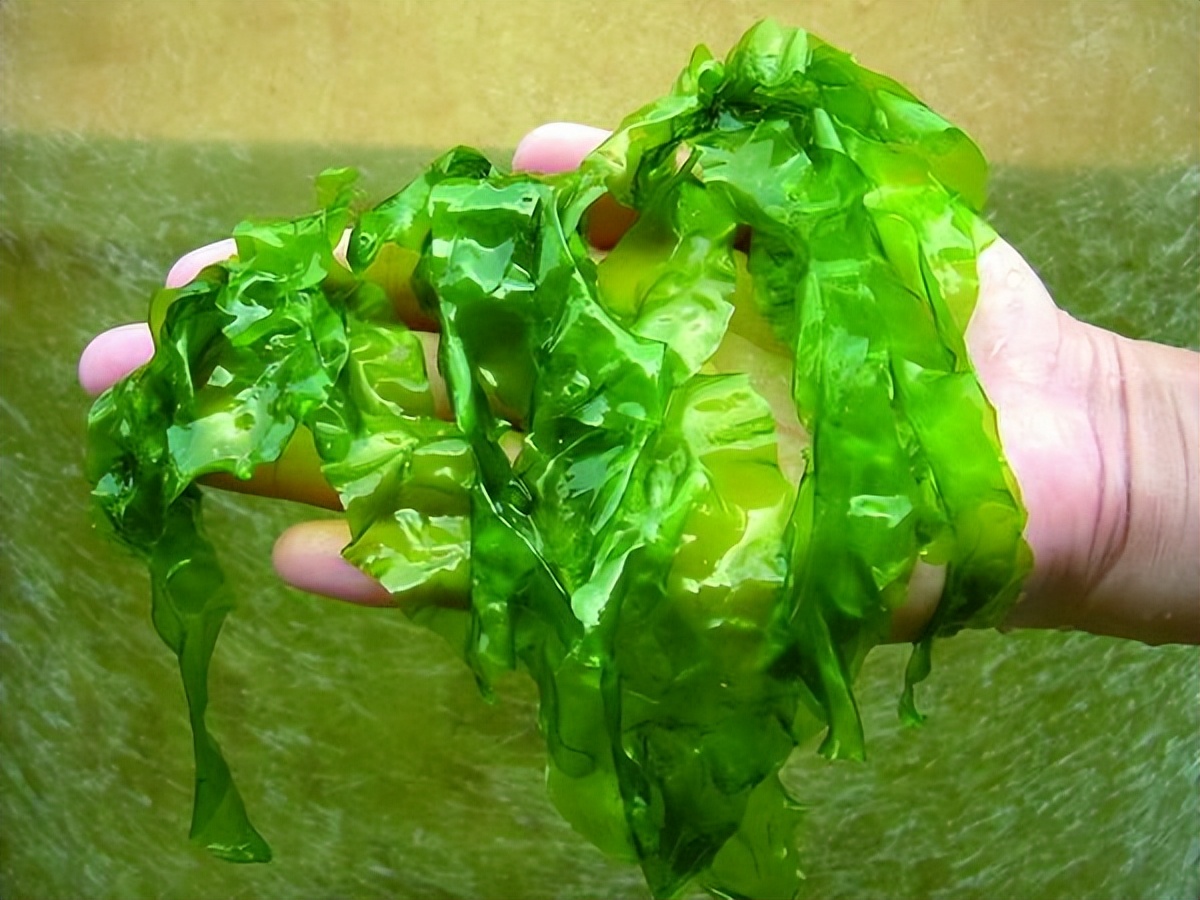 结节、包块、囊肿，这个“神方”！化瘀祛痰，能散结节，除囊肿！