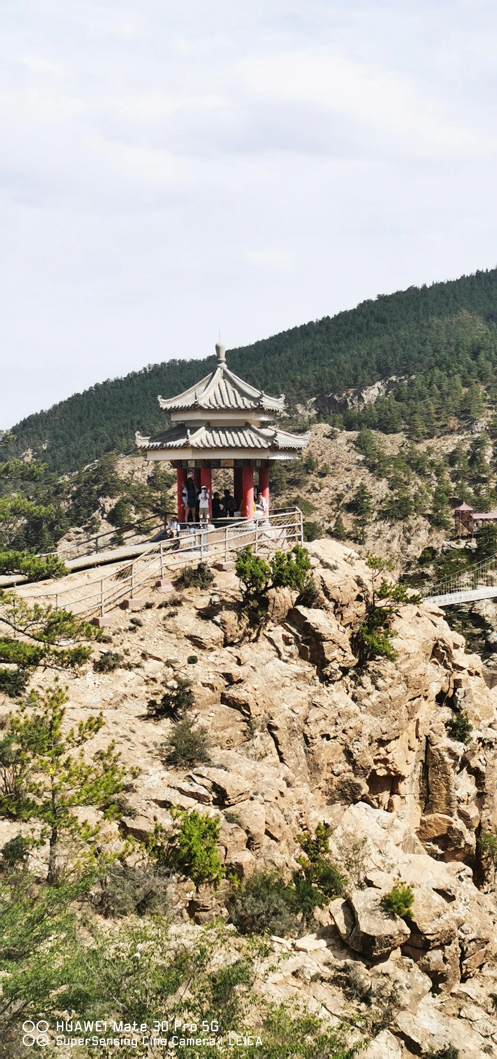 银川我来了视频,宁夏我来了完整视频