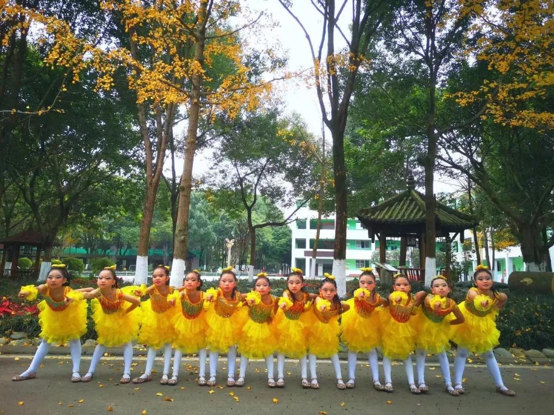 为家乡打call歌曲,为家乡打call