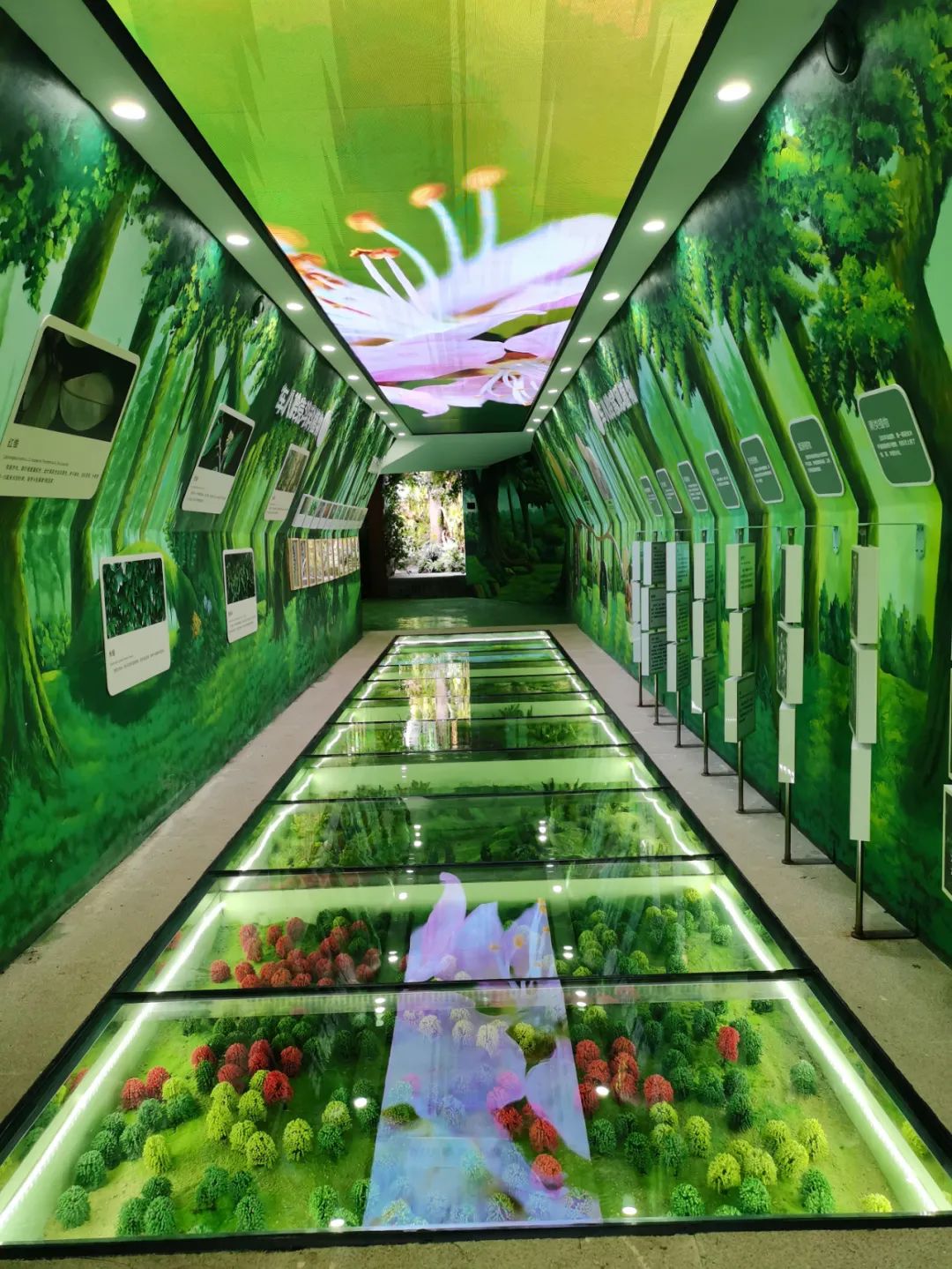 韶关适合带小朋友玩耍的地方,韶关亲子游最佳免费地方