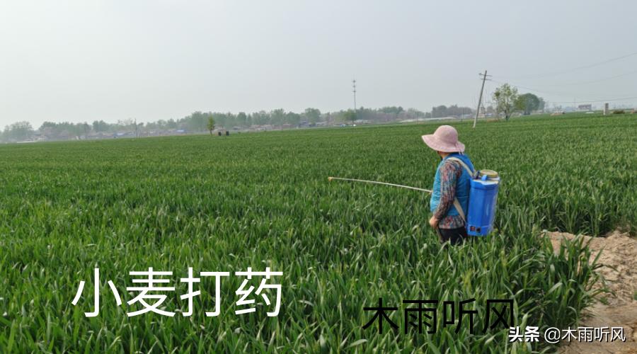 农民怎样靠土地挣钱,农村有没有什么办法可以赚钱