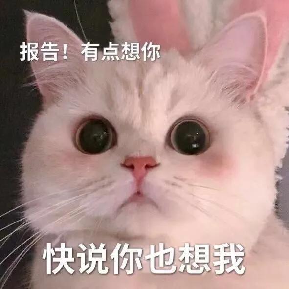 发射爱心然后躲开的表情包,蹦爱心发射表情包