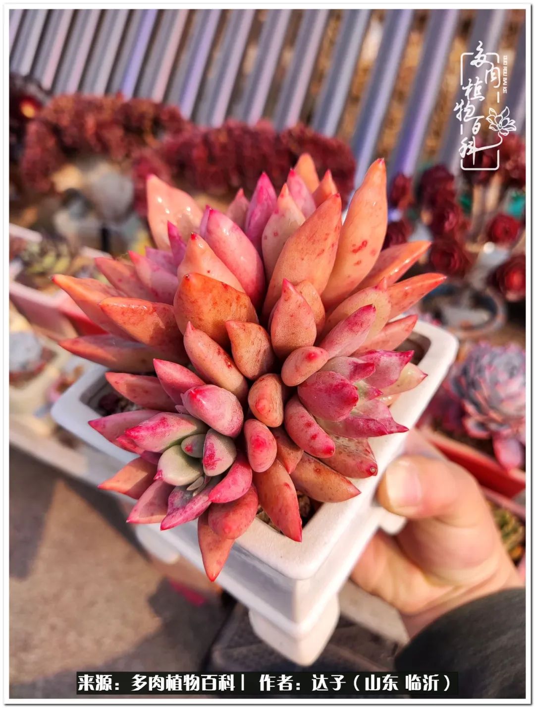 活在当下珍惜眼前平凡的生活,活在当下感慨万千