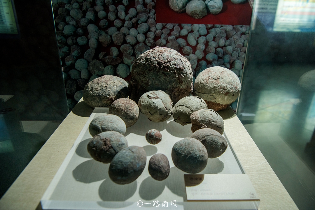 广东河源高铁经过哪些城市,广东河源通高铁