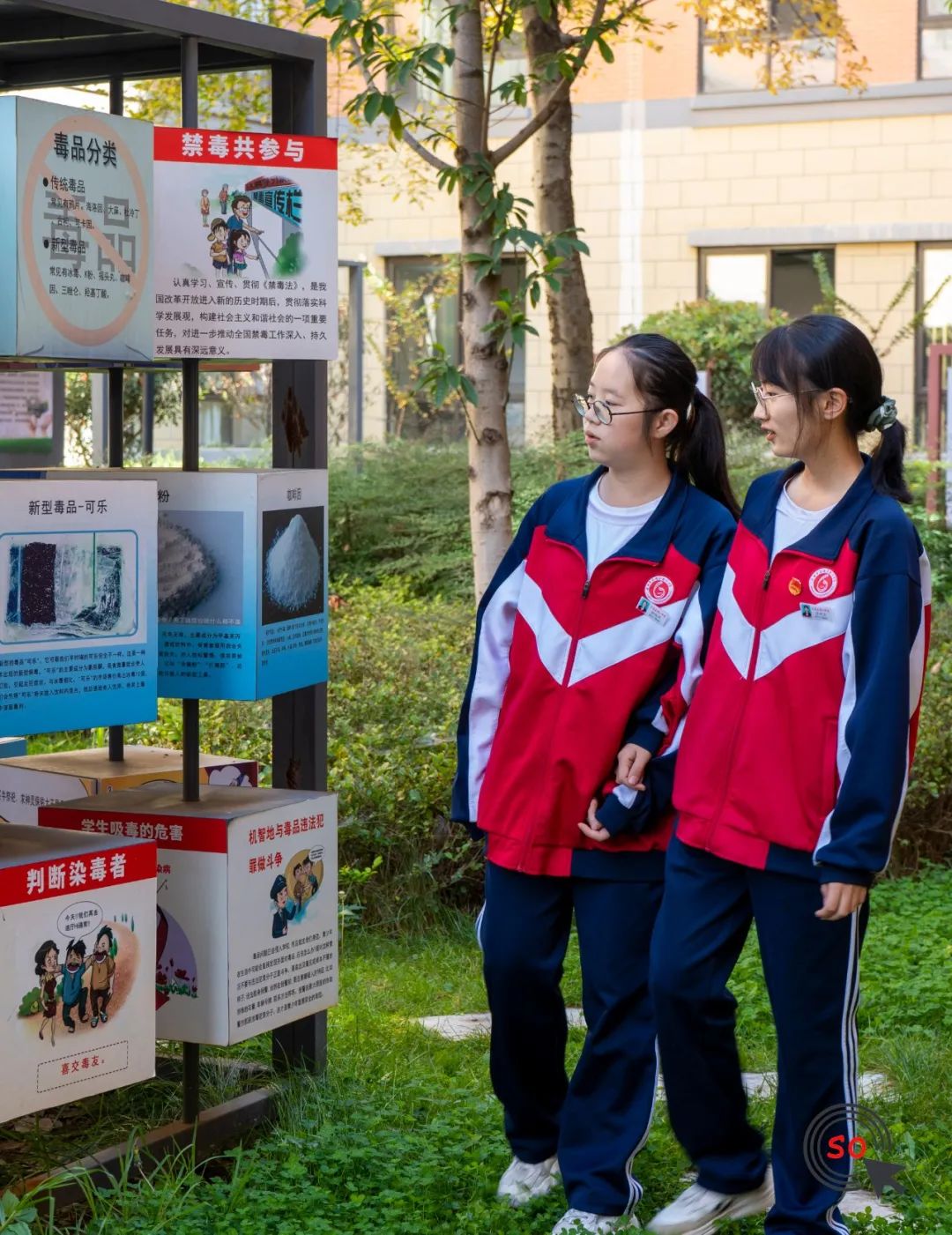 校园每个角落法治教育,校园法制一角