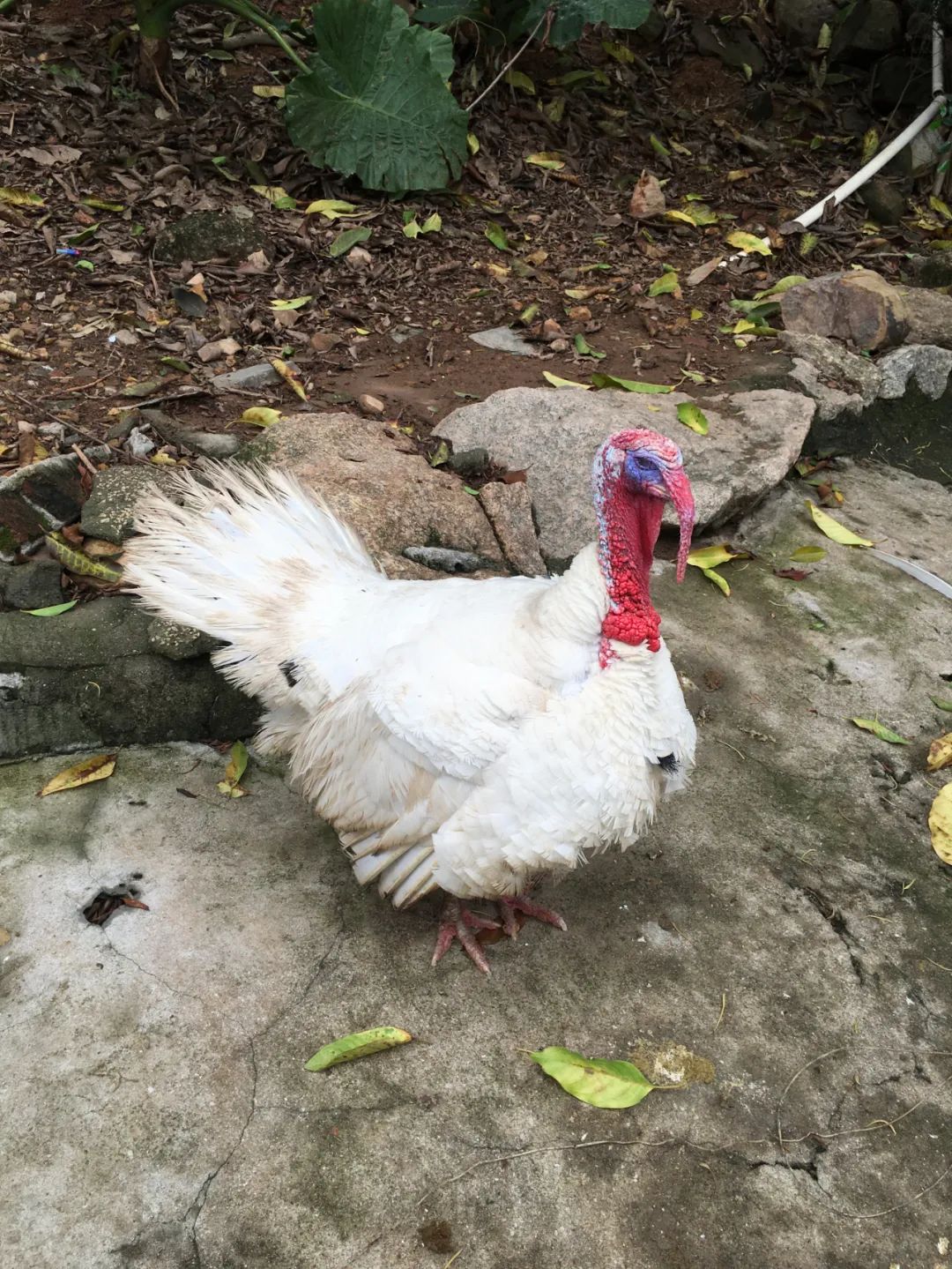 旭光电动车行,旭光车行向阳路