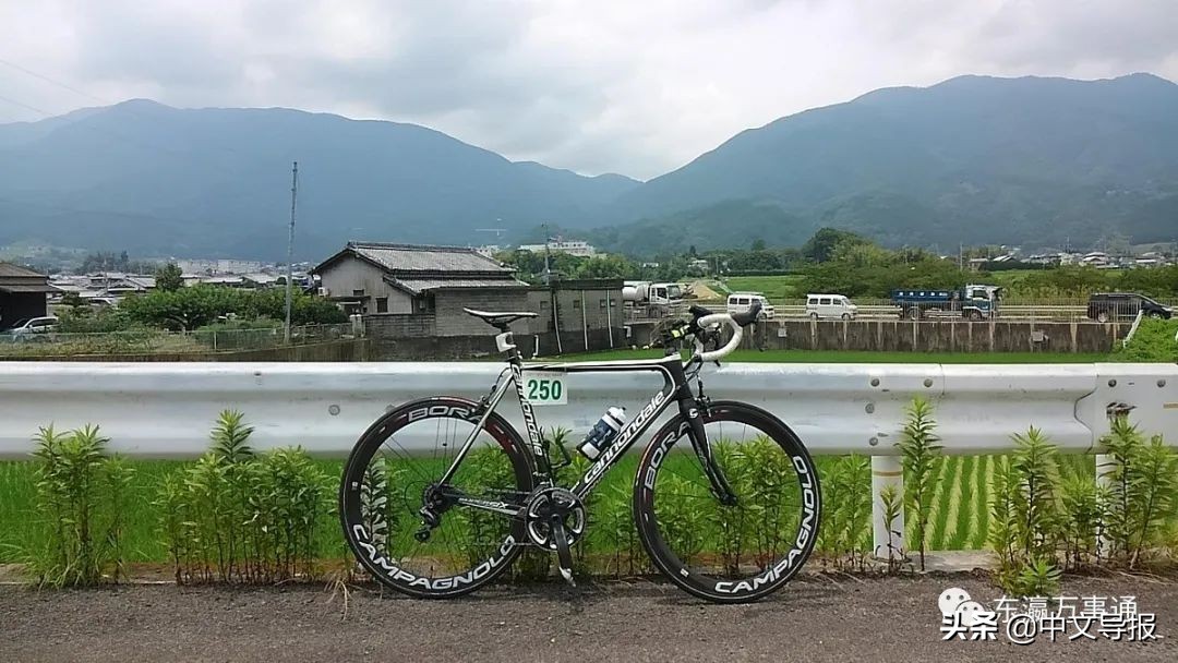 汪先恩,汪先恩访谈完整视频