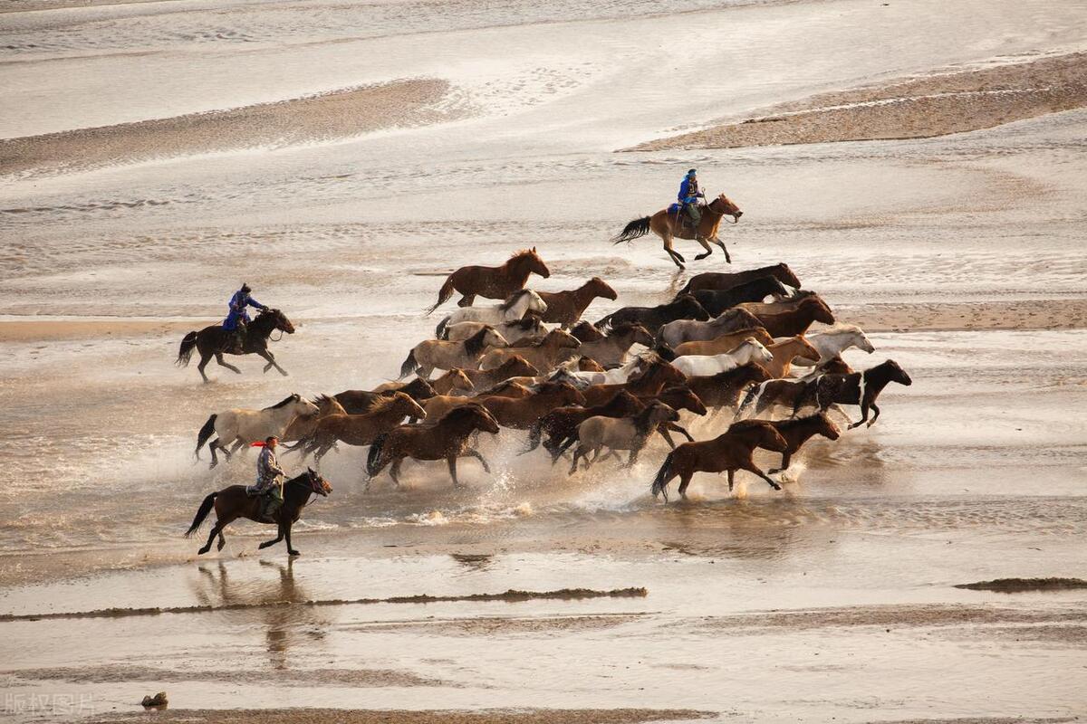 生肖文化之马,十二生肖古代马