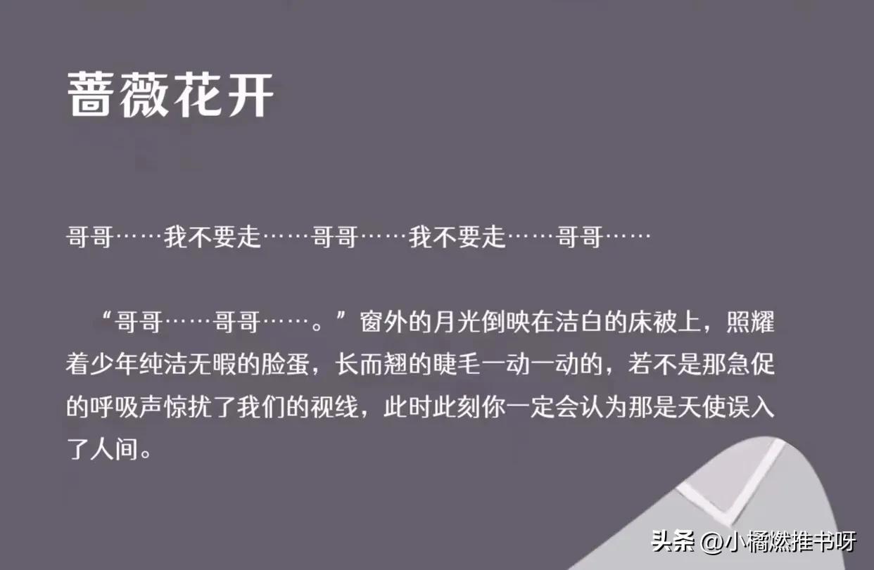 强推作品文案,紫色木屋作品集