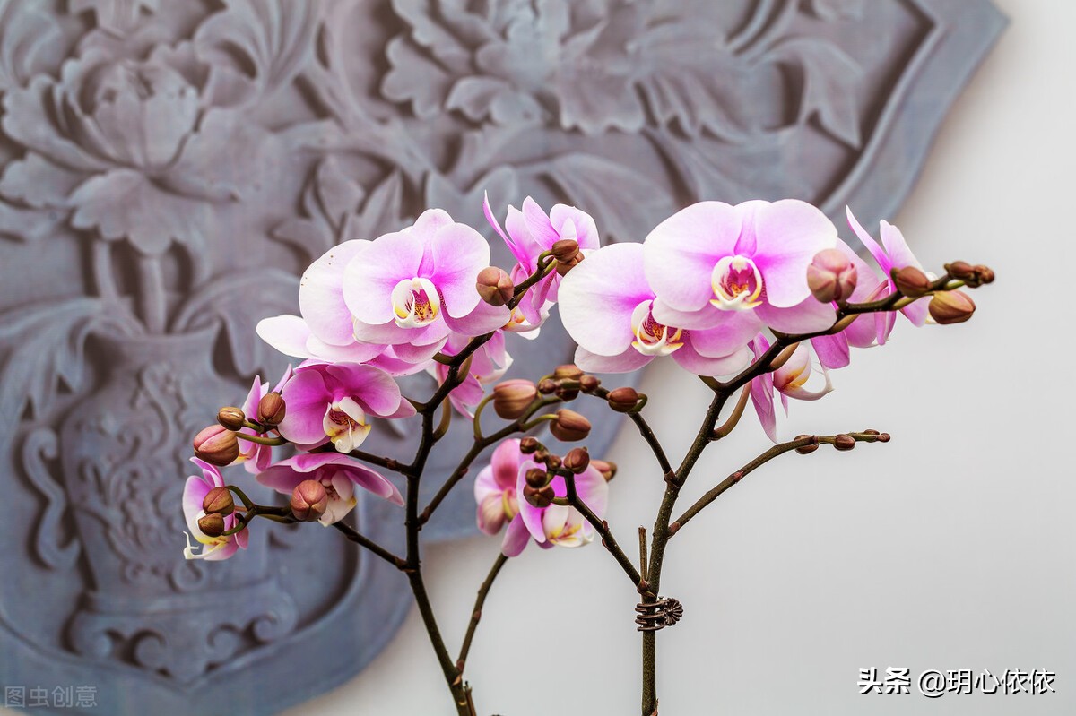 这些星座把自己活成财神爷，内心强大能力出众，心如真金光耀众生