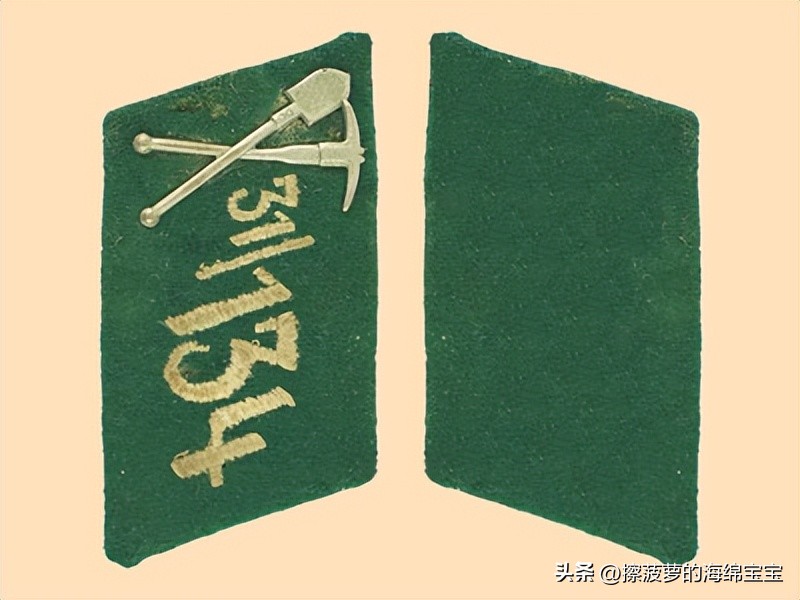 纳粹冲锋队用的什么枪,纳粹德军军衔图解