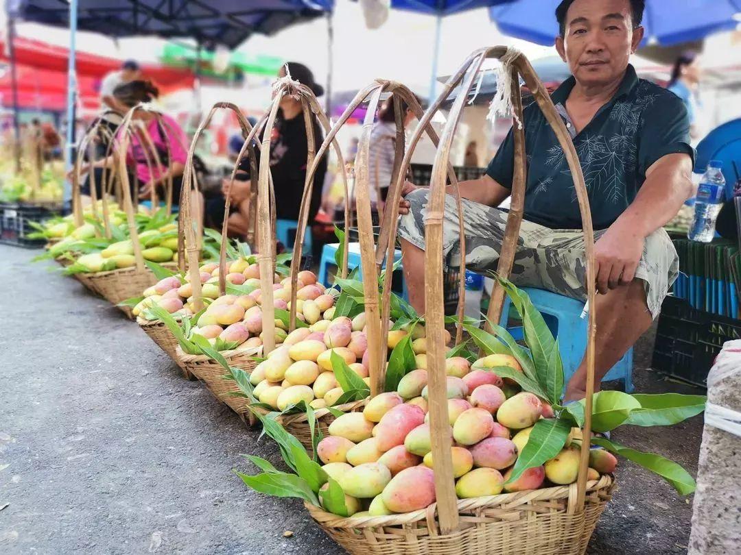 为什么那么多人说，芒果前景可期却又暗藏危机？