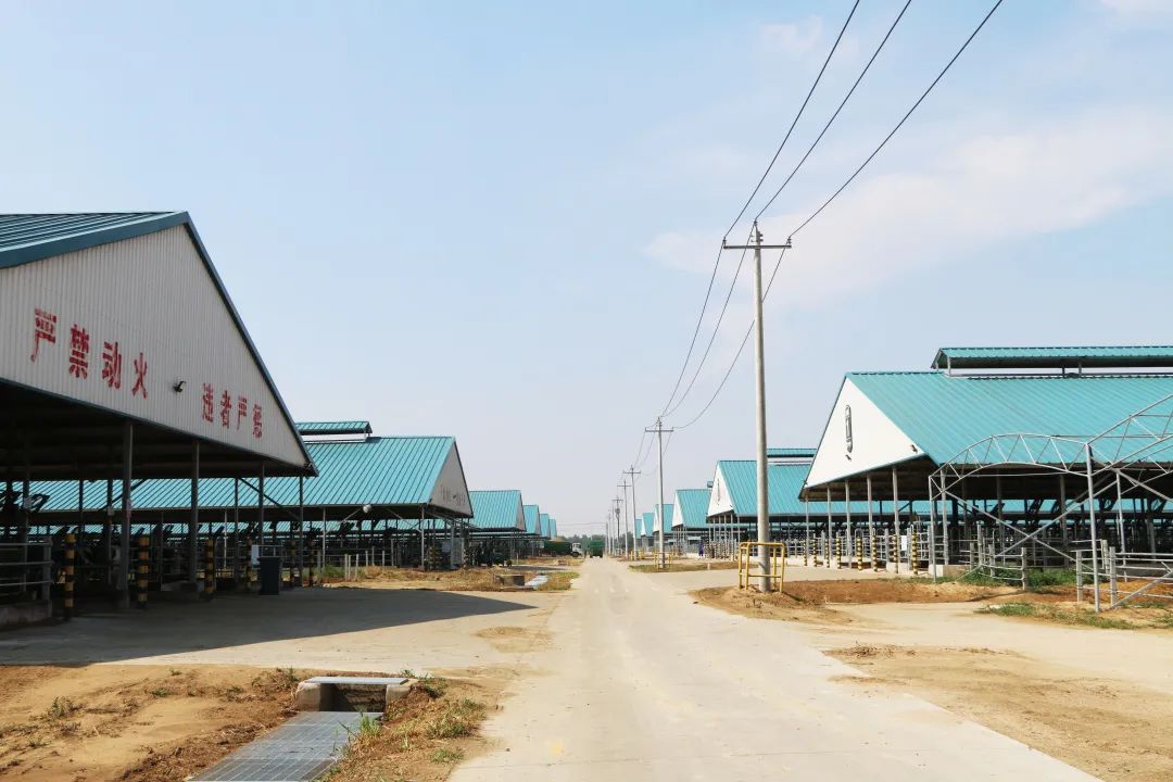 君乐宝威县乐源君享,君乐宝农场纪录片