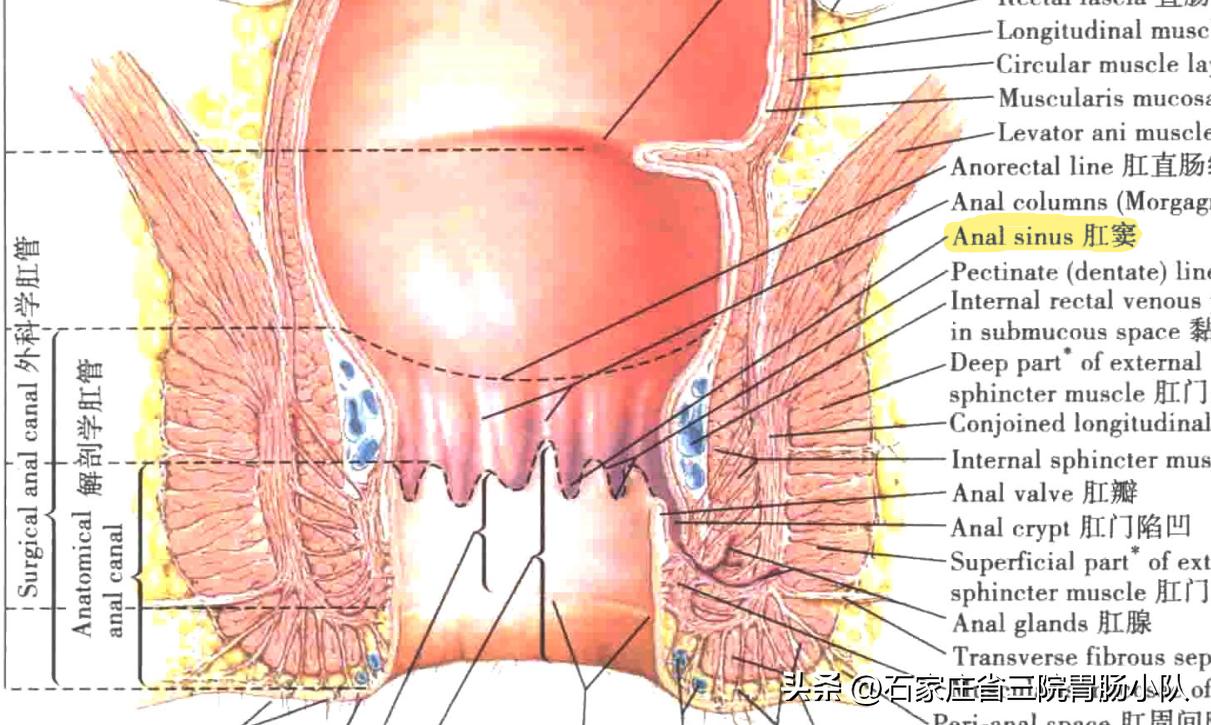 肛周脓肿中医说法怎么引起的,肛周脓肿经历描述