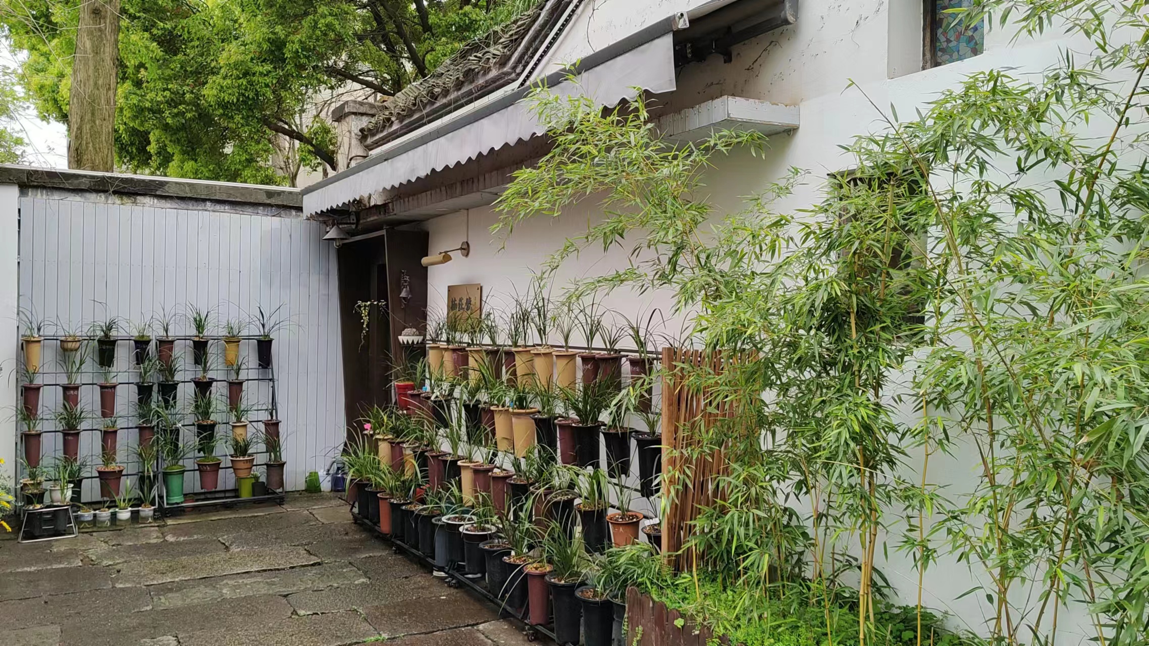 vivoiqooz6自拍效果,vivoiqooz6手机怎么拍照好