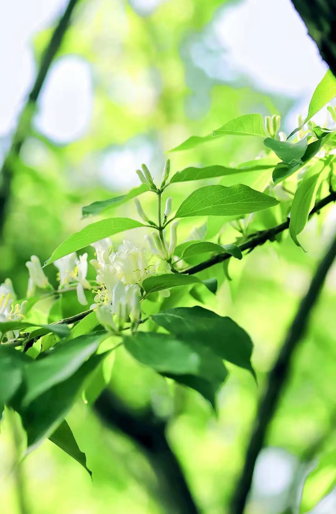 淇濇寔缇庡ソ蹇冩儏杩庢帴浜旀湀,浜旀湀瀵硅嚜宸辩殑缇庡ソ鏈熻
