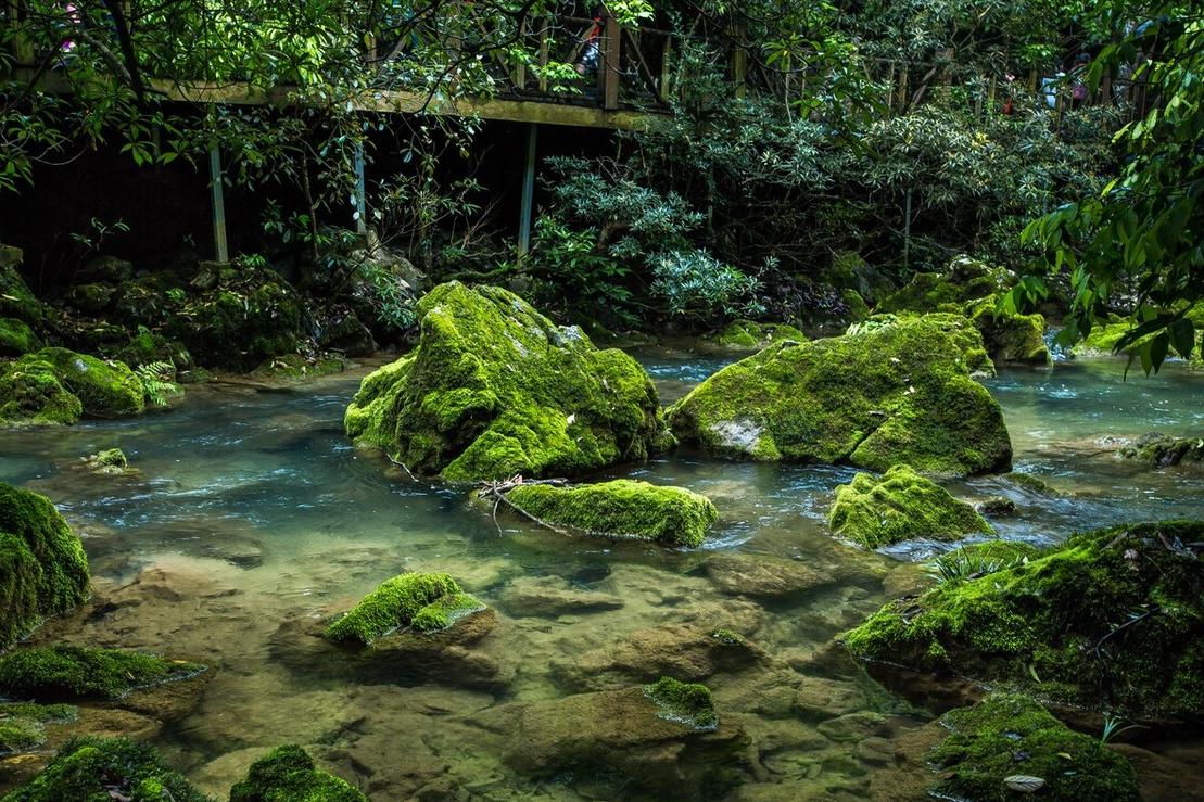 高品质旅行团有什么不一样,旅游我们玩的是什么