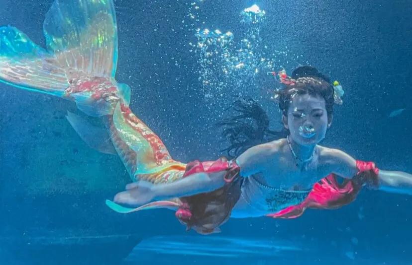 南京钟山亲子游攻略,钟山风景区带娃的游玩攻略