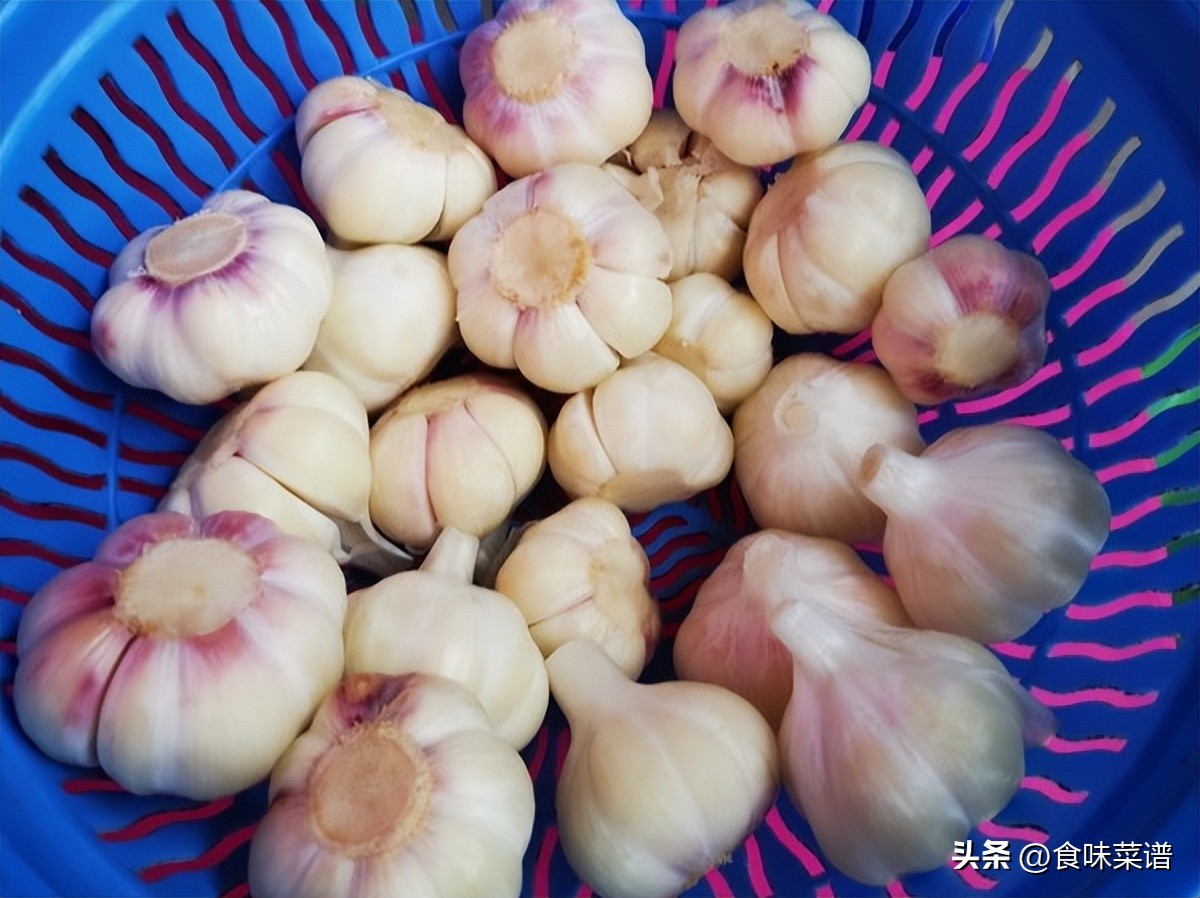 腌糖蒜只放醋和糖会不会坏了,腌糖蒜只放醋糖