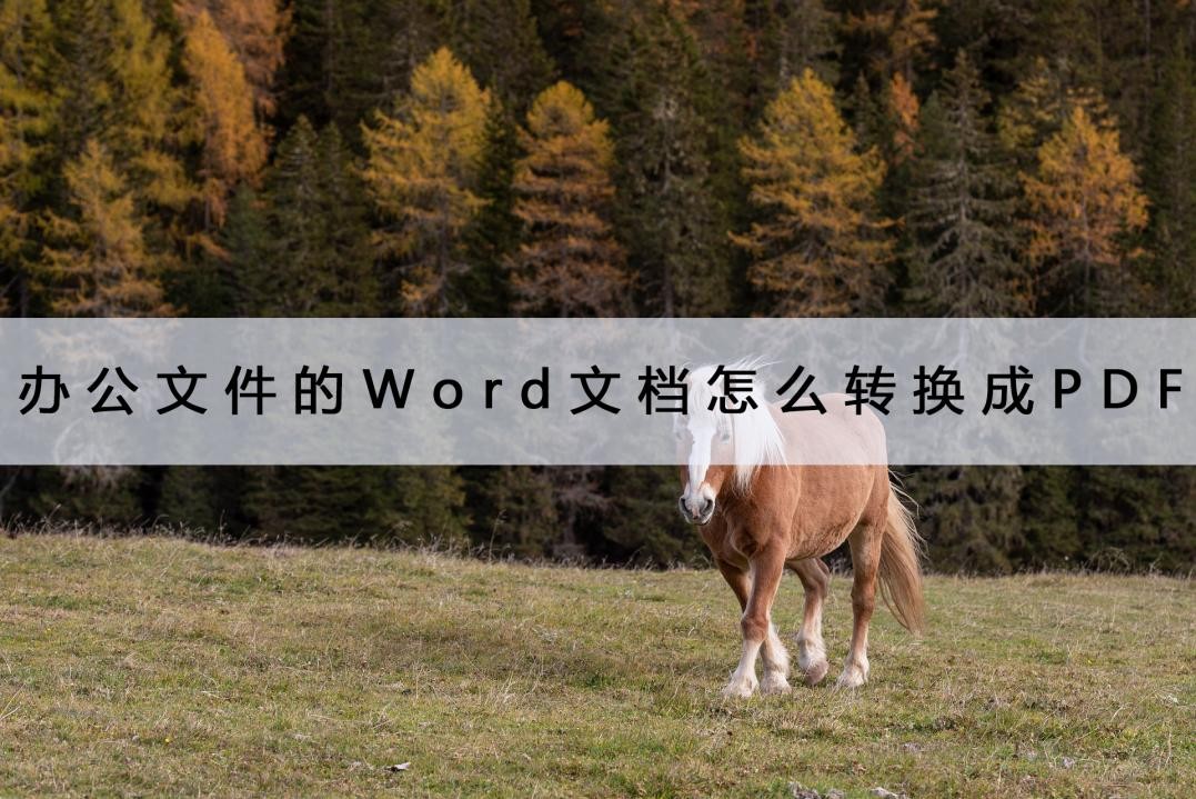 电脑里的word文档怎么转换成pdf,办公文档如何转换成pdf