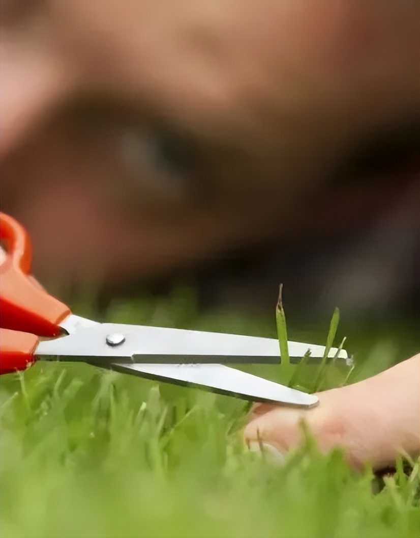 心理医生手记（八十七）——探讨完美主义的正确打开方式