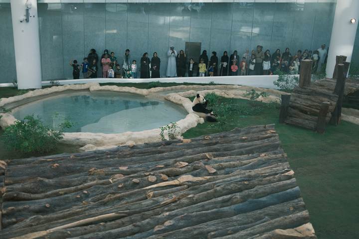 1972年尼克松访华，周总理递烟给第一夫人，总理：你再看一眼烟盒