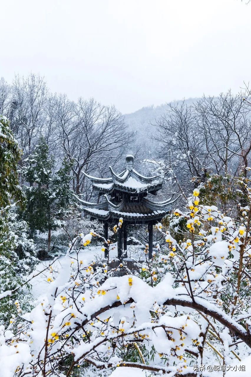 江苏镇江，比扬州安逸。这座有钱低调的小城，倦了就去小住几日