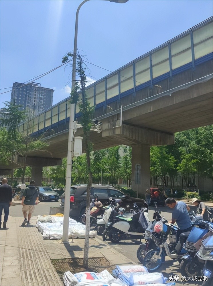 补绿换绿增绿！西山区道路沿线景观将焕然一新