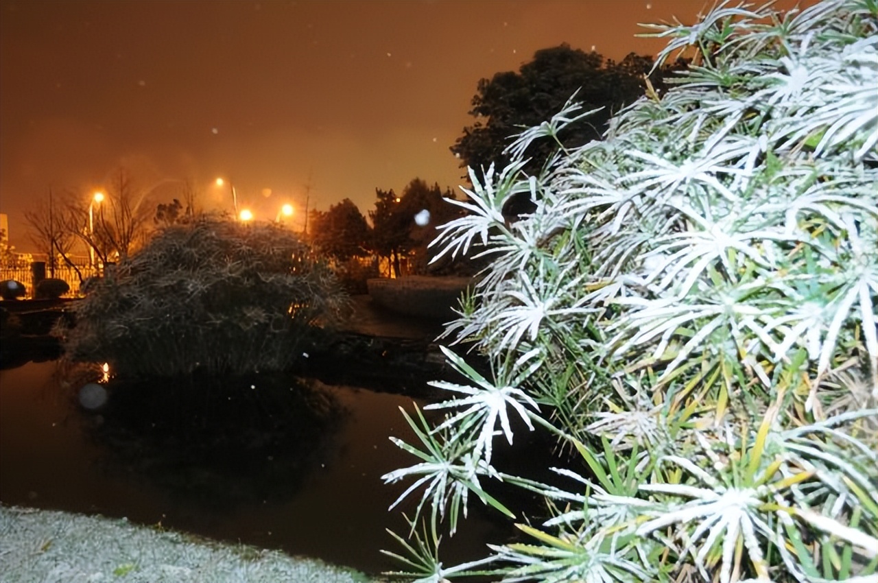 西南民族大学预科班二本,西南民族大学预科生校区