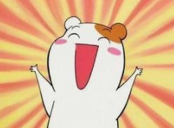 滁州新锐教育集团,滁州新锐集团学校排名