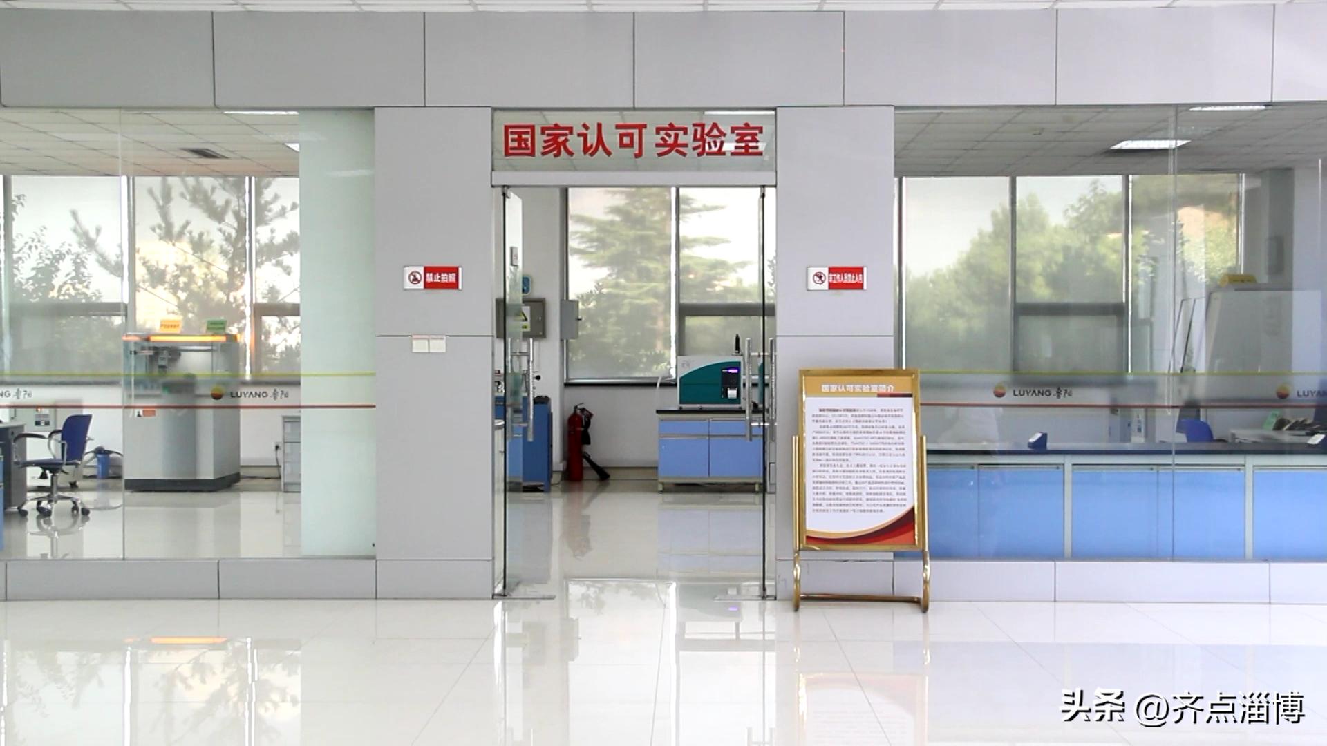 聚焦专精特新引导双创高质量发展,聚焦山东加速推进新型工业化