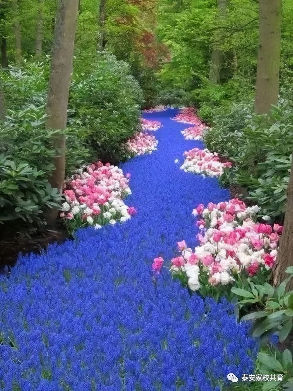 怎样才能学好语文的方法,怎样才能学好语文课