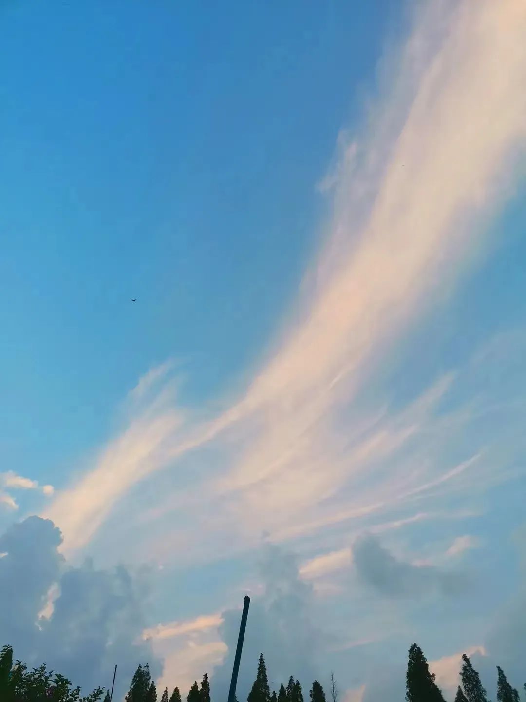 不想上班的6种解决办法,不想上班顺口溜