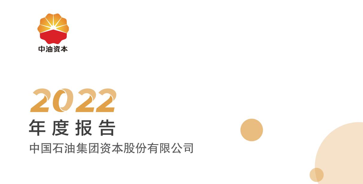 涓浗涓补璧勬湰,涓浗涓瓧澶磋偂涓浗涓搧
