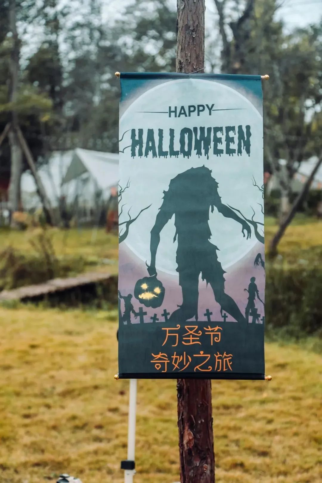 萌宠万圣狂欢夜,萌宠露营云龙区