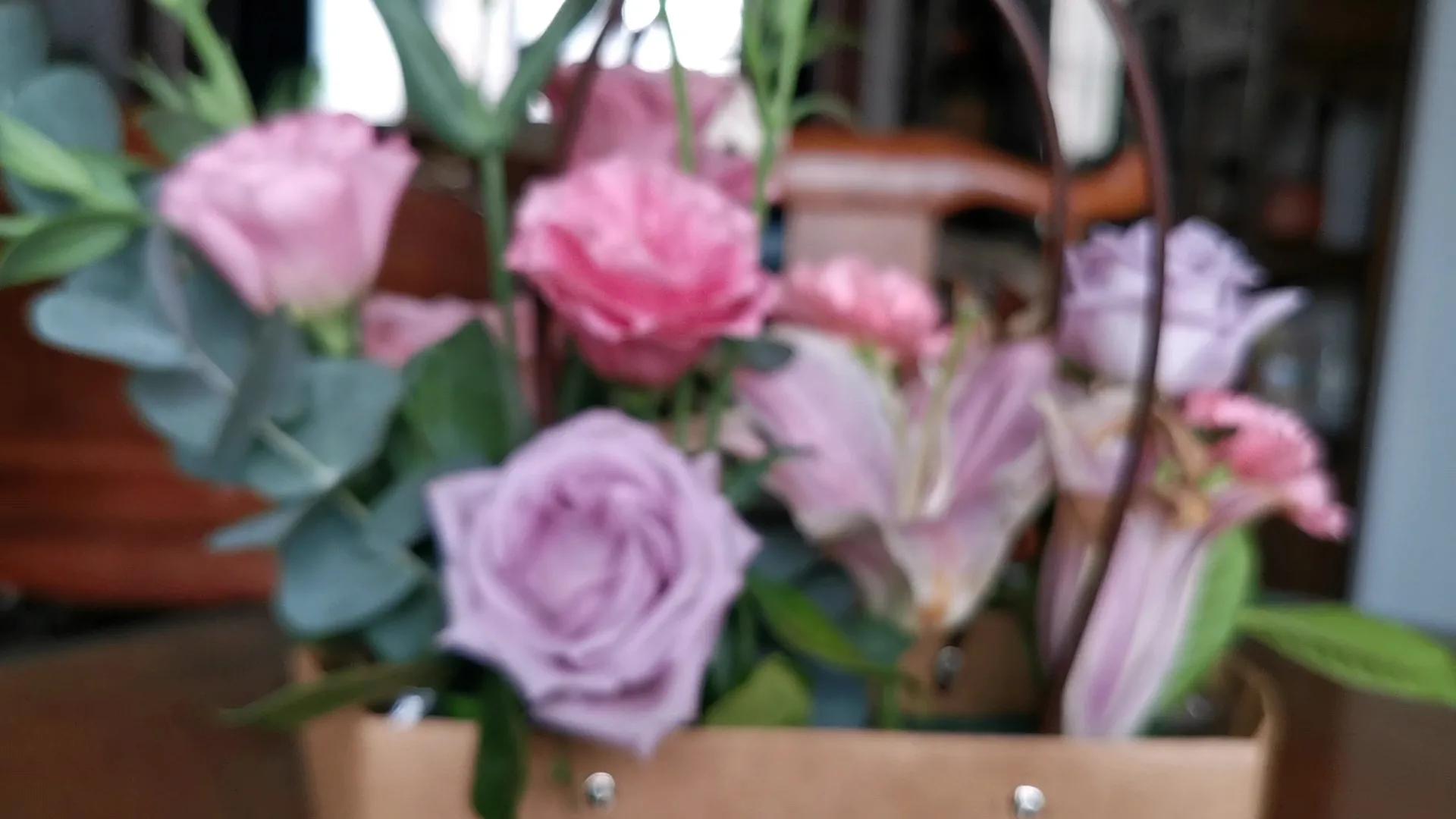 华为手机鸿蒙系统相机,华为手机鸿蒙系统拍照重启问题