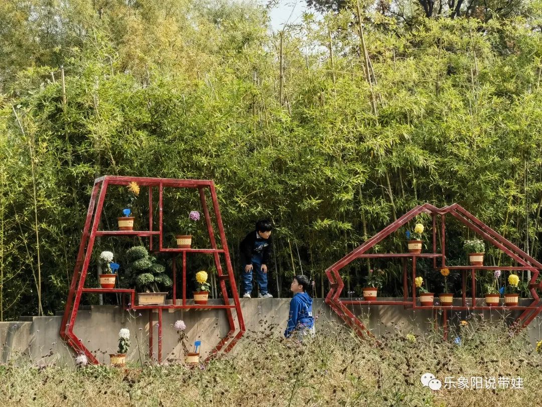 时间都去哪儿了小品完整版,时间都去哪儿了感悟