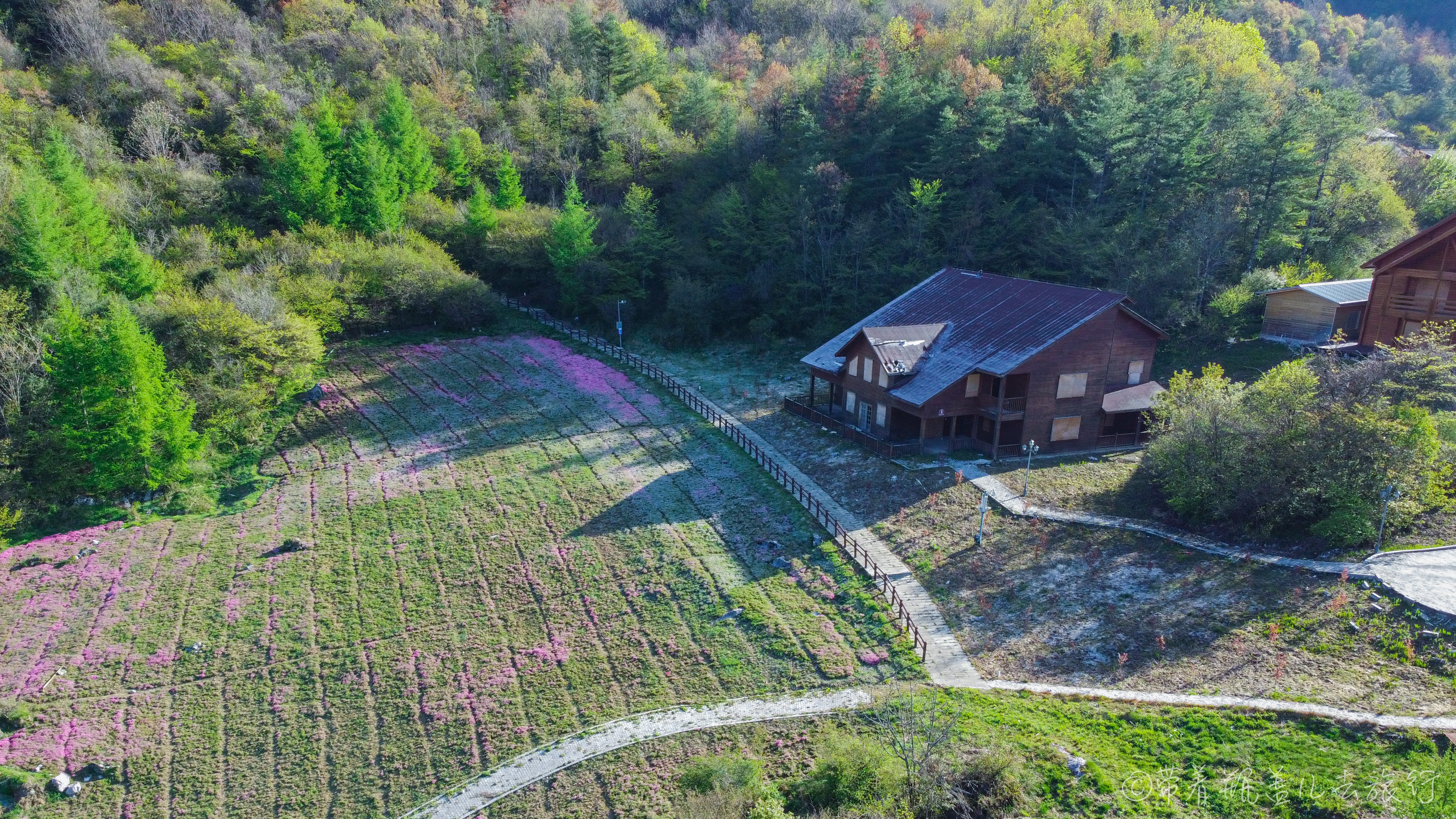 巫溪红叶自驾游,巫溪红池坝云中花海景点讲解