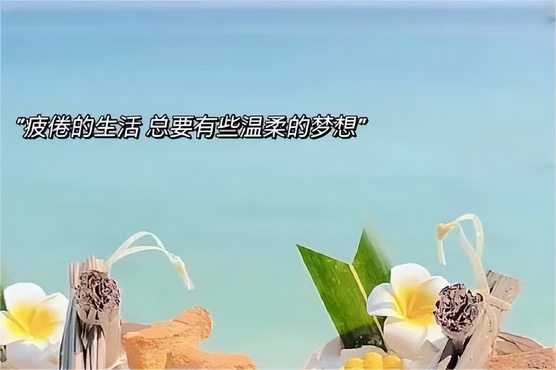 稿费高的投稿平台有哪些,小说平台新手投稿哪些稿费多