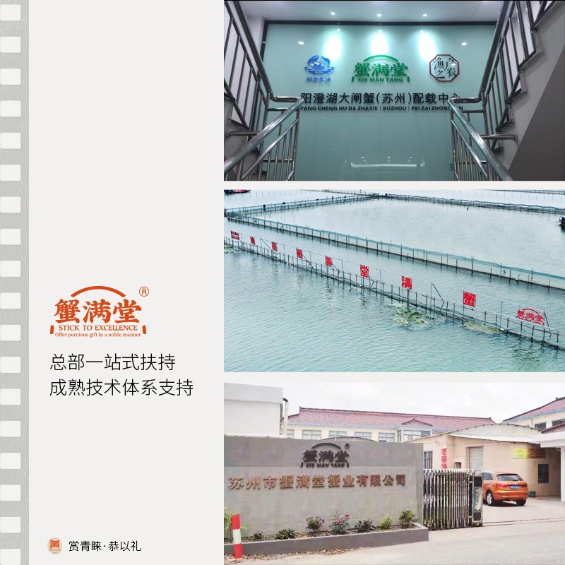 蟹满堂阳澄湖大闸蟹南京专卖店,唐山阳澄湖大闸蟹专卖店