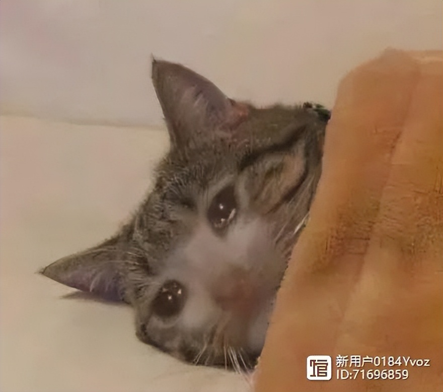 为什么说婚姻和爱情其实没有关系,为什么婚姻和谈恋爱不一样