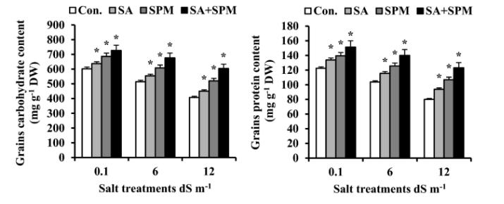 碱性亮氨酸拉链的介入，会对青钱柳根茎发育产生多大影响？