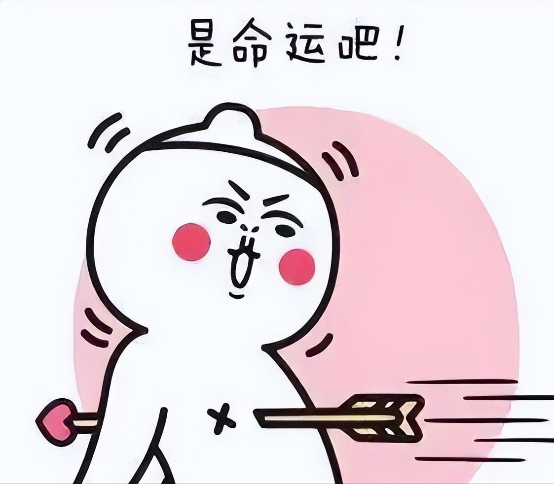 3姐妹遭遇杀猪盘1个月被骗百万,上海破获杀猪盘诈骗案被骗1500万