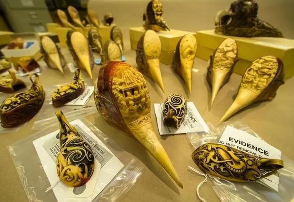 女子购买吊坠被判10年,女子买鸟头吊坠被判十年