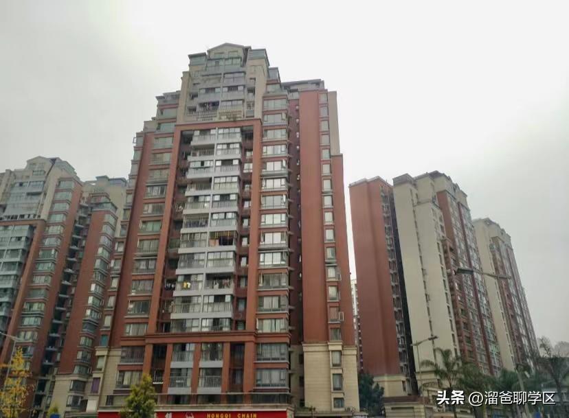 草堂子美,草堂子美怎么样