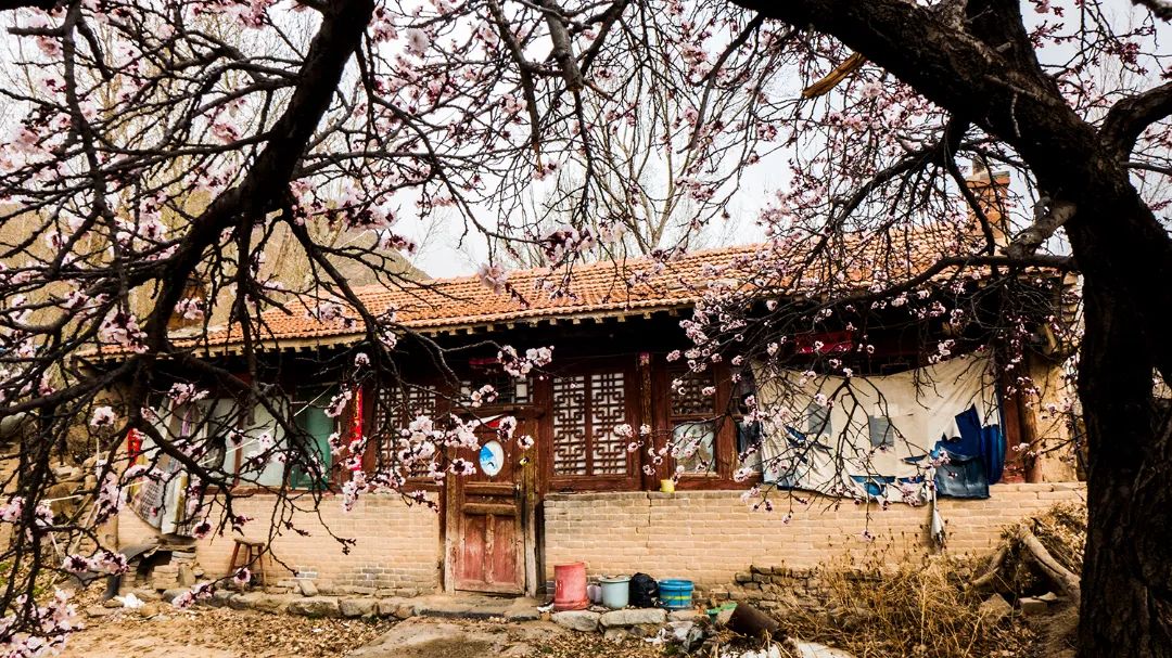 迎接党的20大美术作品,喜迎二十大乡村摄影展