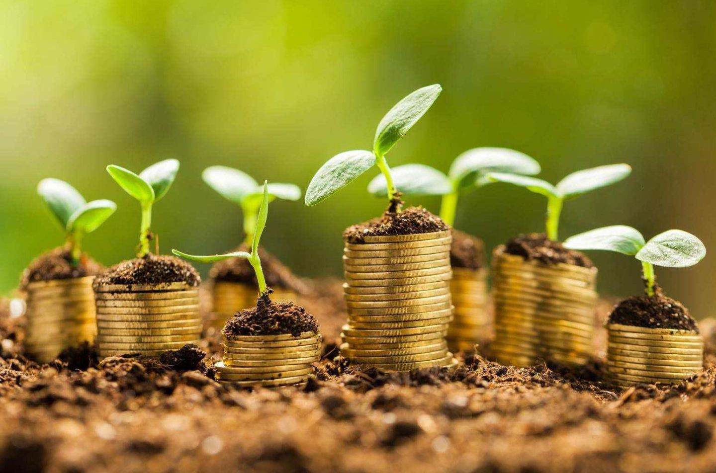 教你更实用的理财干货,我的理财经验和技巧