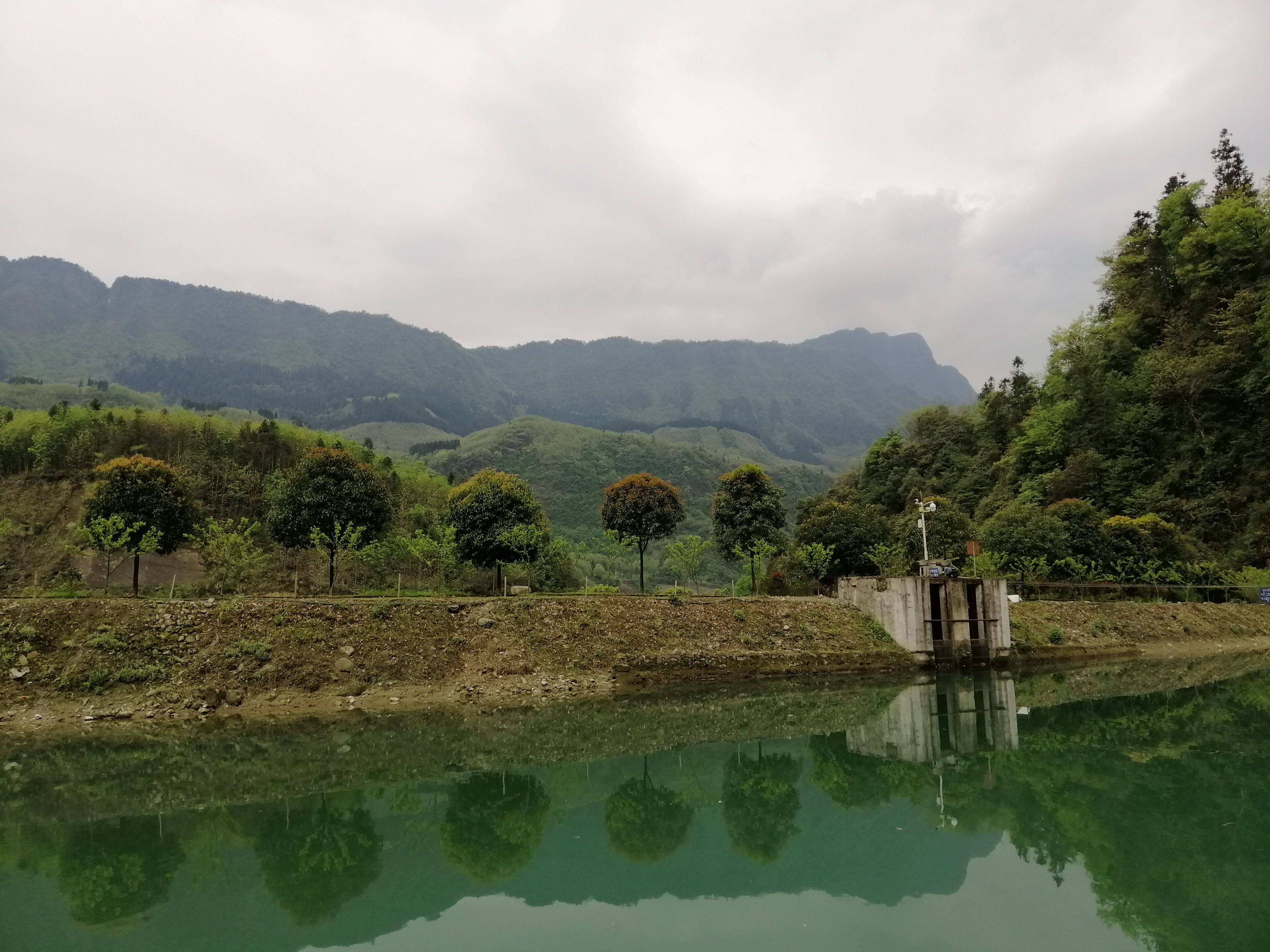 “种草”《大河恋》,解锁大虹鳟,也寻找着生命的意义
