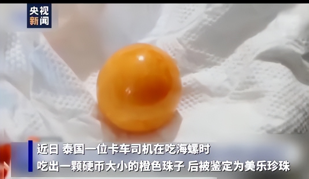 山东一女子吃出龙珠,安徽女子吃椰子螺吃出龙珠